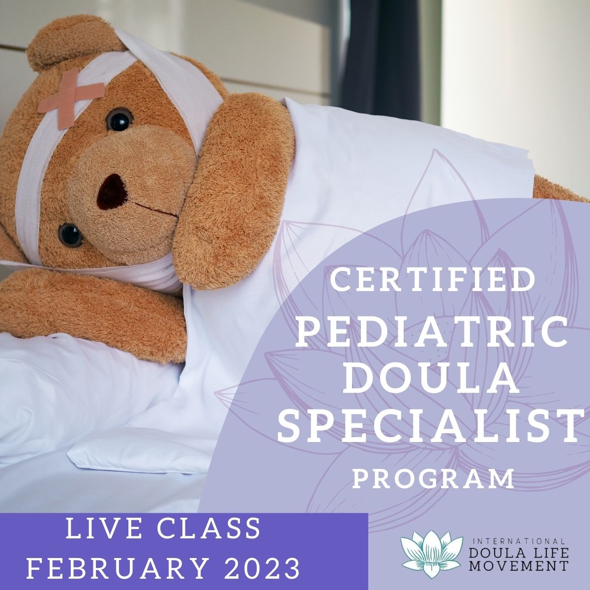 Certified Pediatric Doula Specialist Program